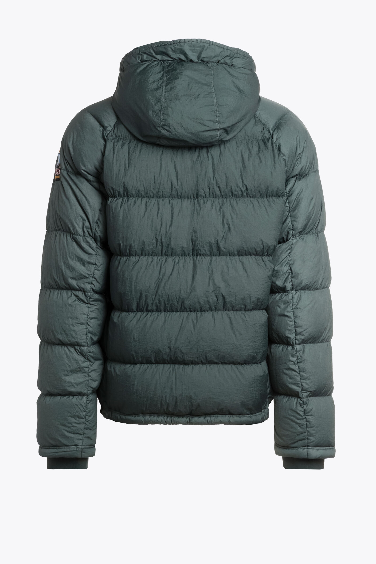 NORTON Short Puffers in GREEN GABLES | Parajumpers®