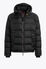 Parajumpers NORTON  24WMPMPURL02P370541