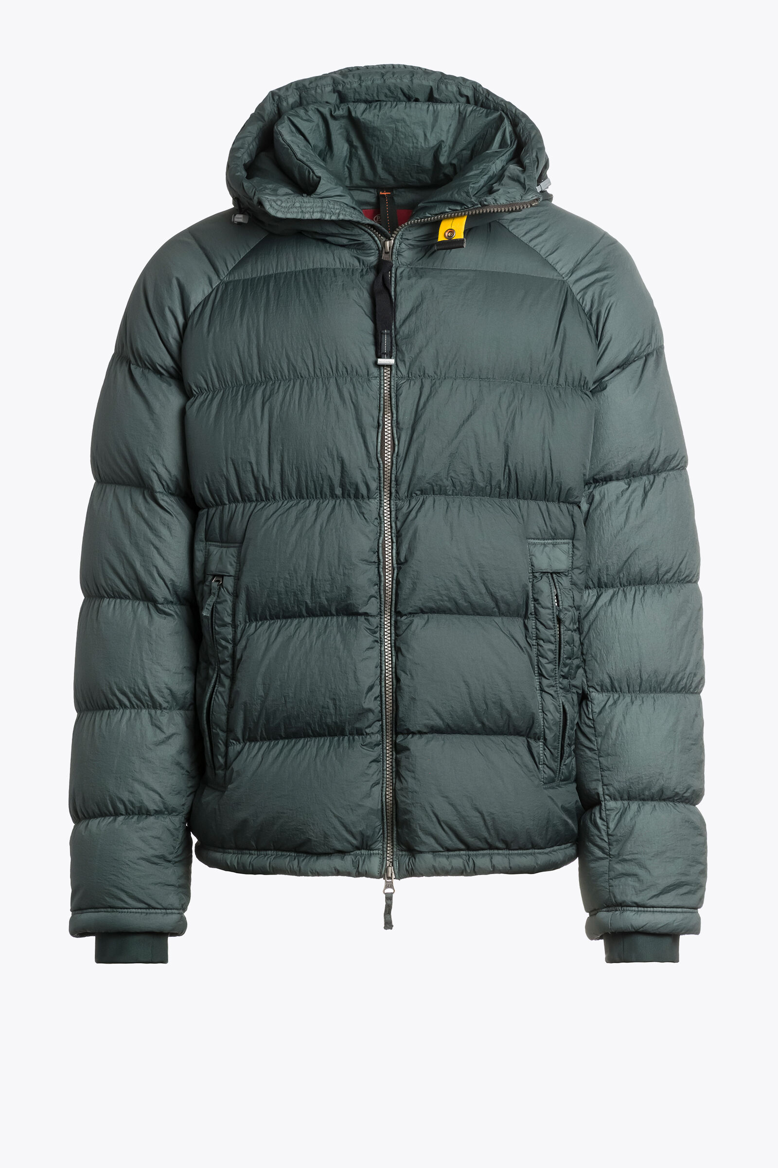 NORTON Short Puffers in GREEN GABLES | Parajumpers®